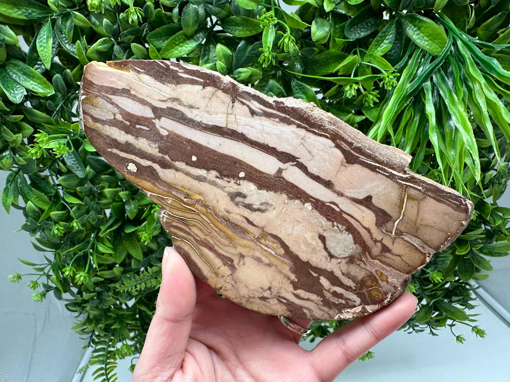 Landscape Jasper Slab – Polished Stone Slice, Natural Scenic Mineral Display