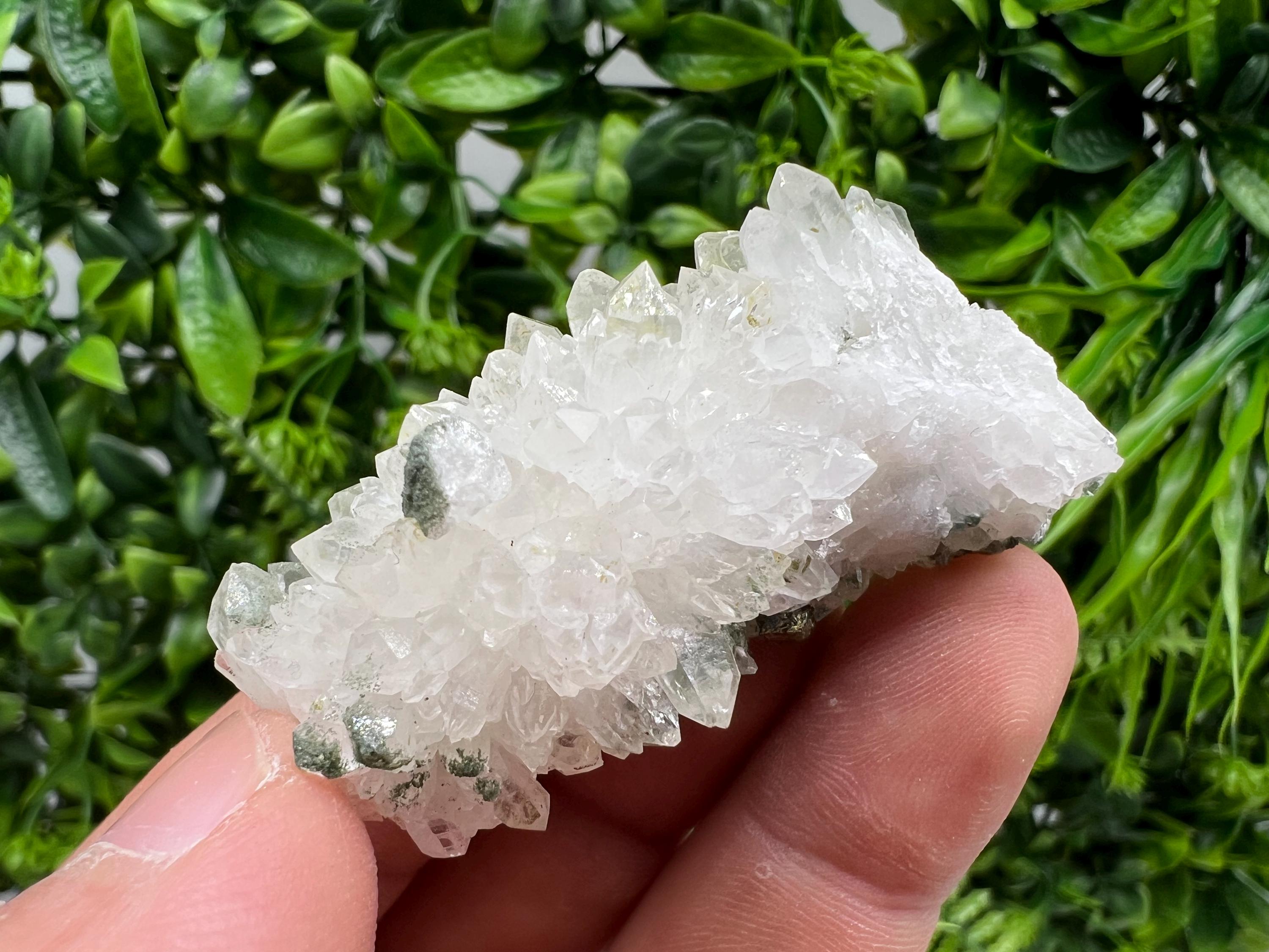 Transparent Quartz on Chlorite Matrix, Borieva Mine Mineral Specimen