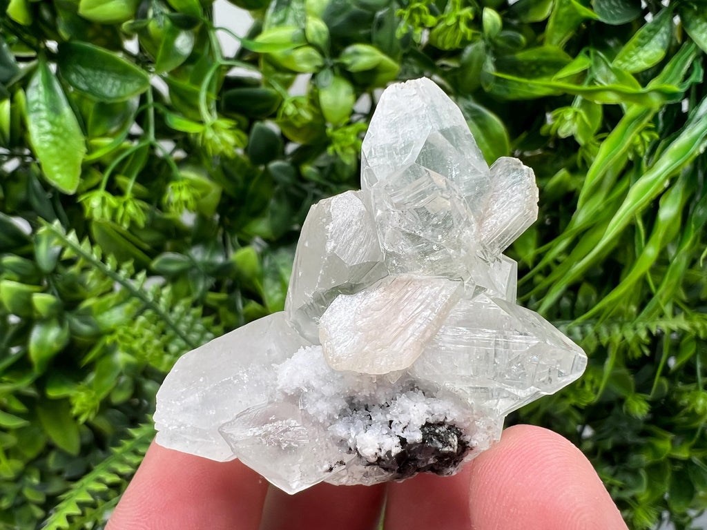 Transparent Apophyllite on Chalcedony, India Minerals Specimen