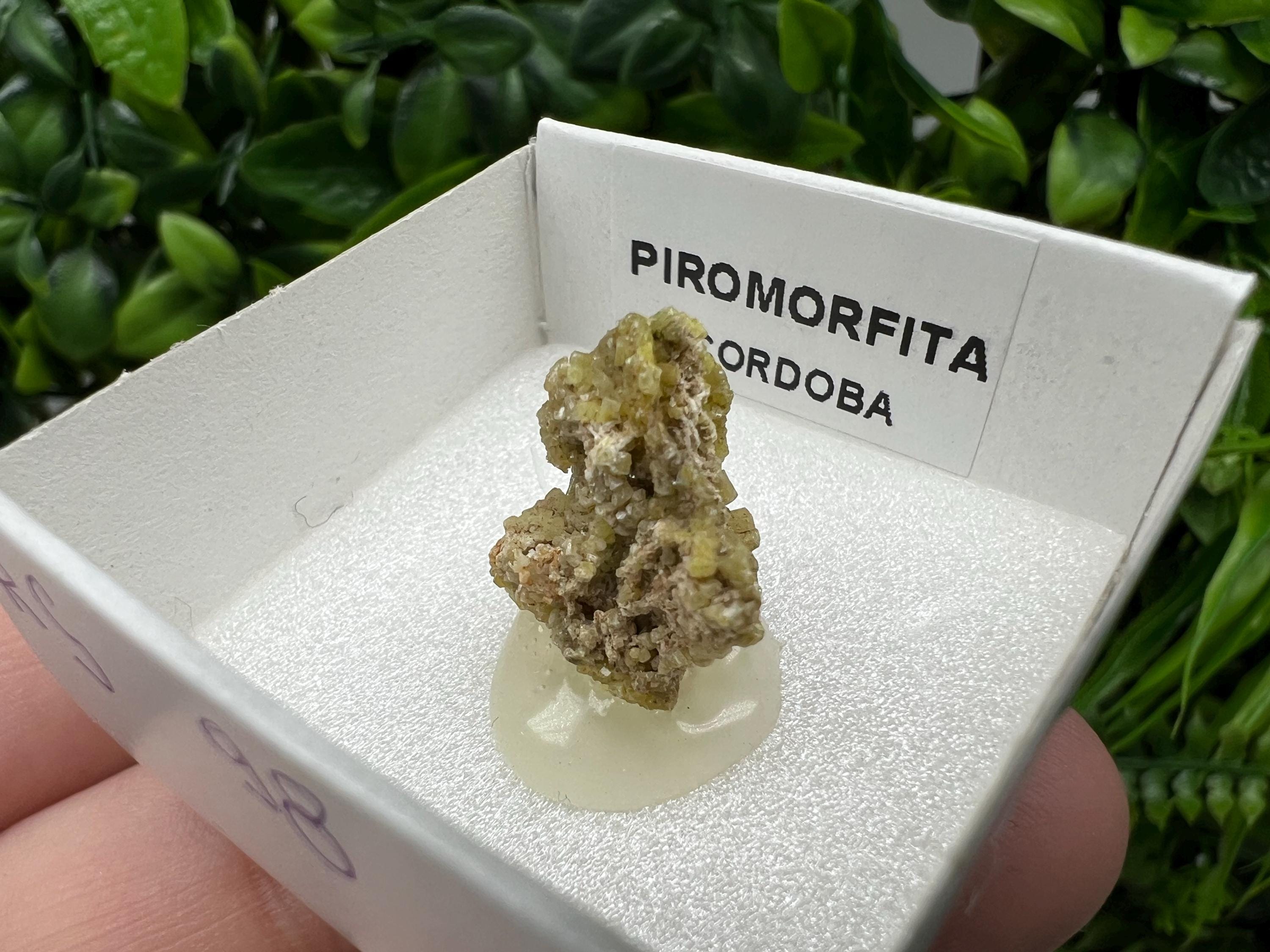 Pyromorphite Stone / Pyromorphite on Matrix / Pyromorphite Crystal / Raw Crystal / Pyromorphite Cluster / Rough Pyromorphite / Pyromorphite