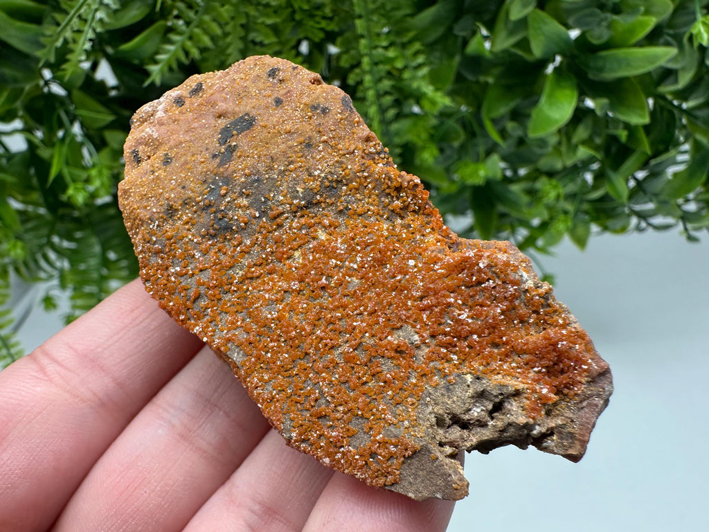 Red Vanadinite on Matrix from Marocco,crystal minerals Speciment cluster Vanadinite crystal Vanadinite Geology Vanadinite cluster minerals
