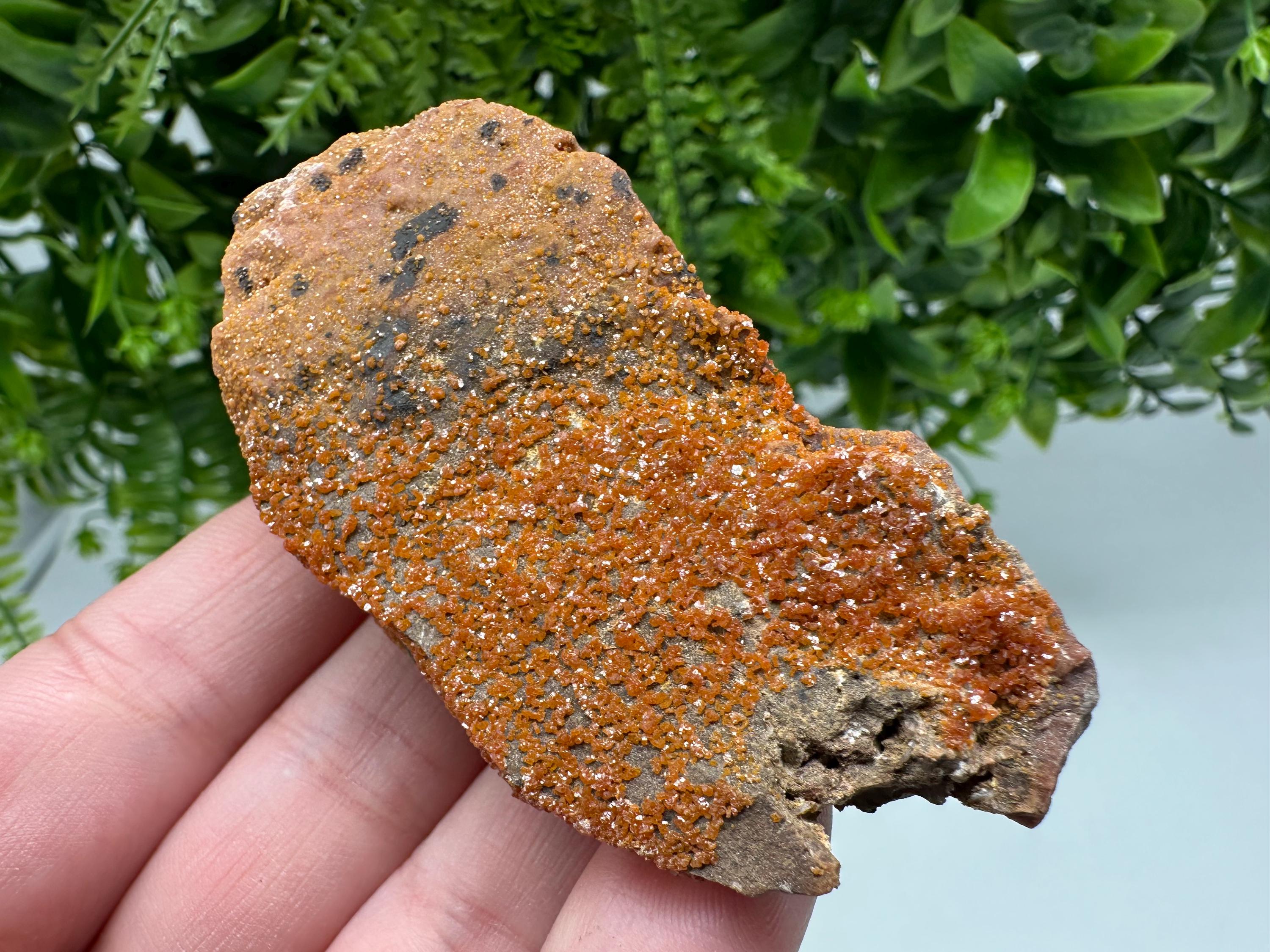 Red Vanadinite on Matrix from Marocco,crystal minerals Speciment cluster Vanadinite crystal Vanadinite Geology Vanadinite cluster minerals