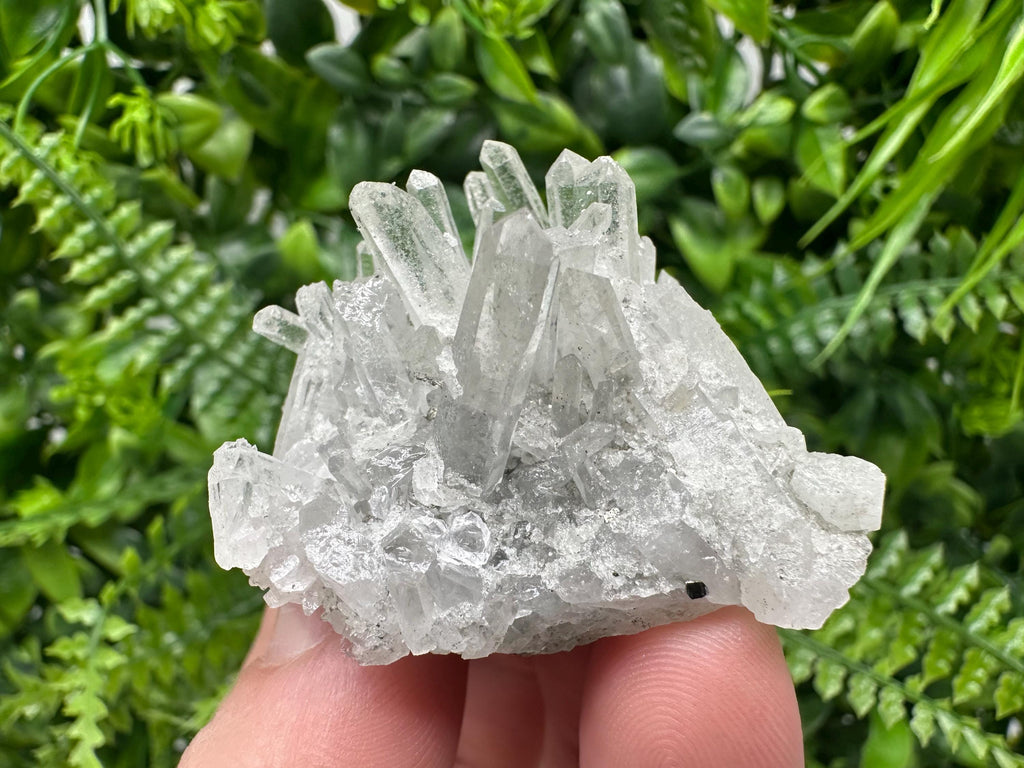 Pyrite on Green Quartz, Bulgaria Mineral Specimen, Home Decor Stone
