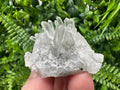 Pyrite on Green Quartz, Bulgaria Mineral Specimen, Home Decor Stone