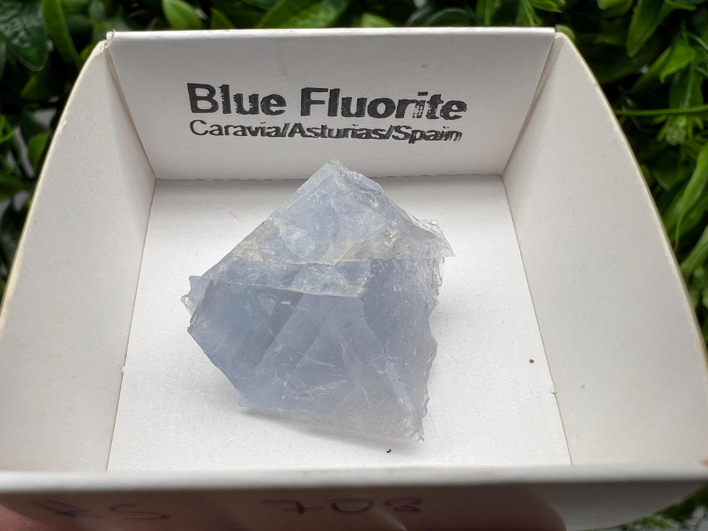 Blue Fluorite Mineral Specimen: Spain Collection (2.5/2.5 cm)