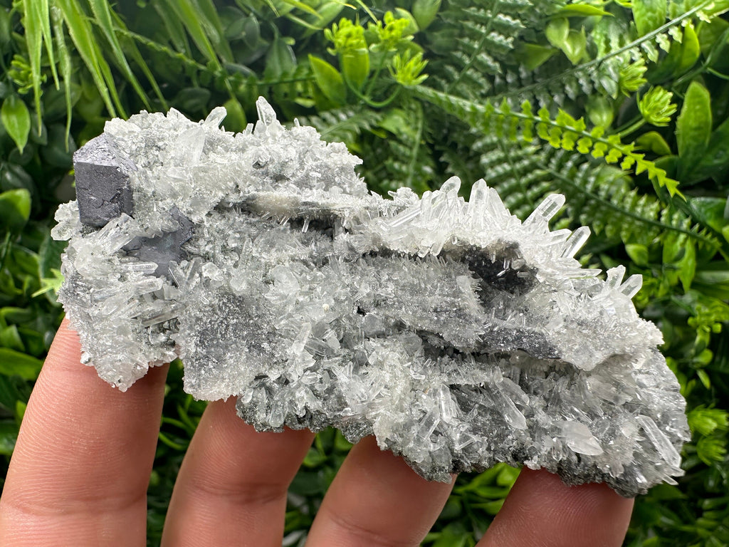 Galena on Green Quartz, Borieva Mine, Mineral Specimen