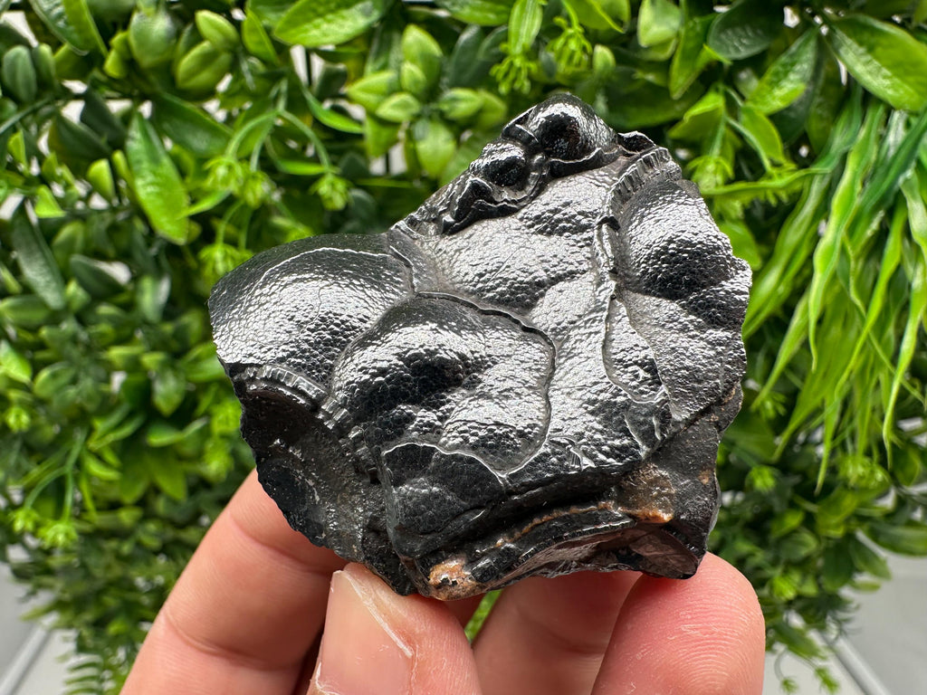 Botryoidal Black Hematite Specimen: Moroccan Crystal for Reiki Chakra