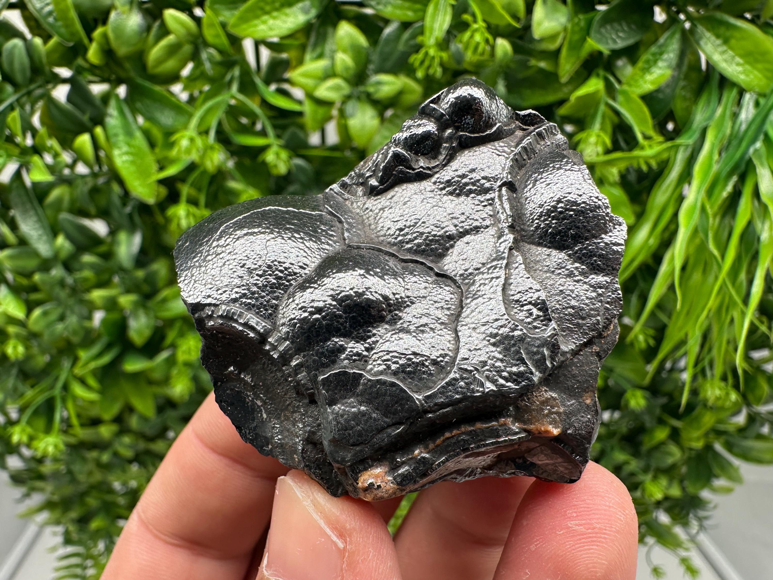 Botryoidal Black Hematite Specimen: Moroccan Crystal for Reiki Chakra