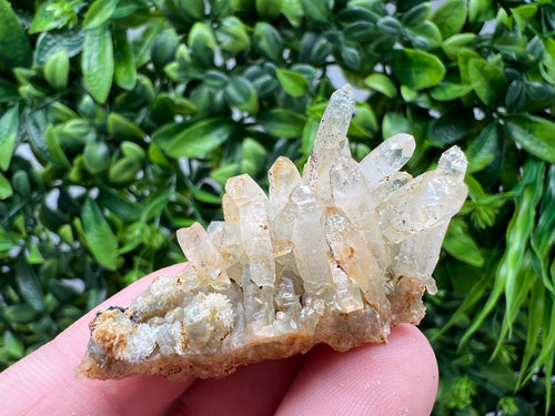 Bulgarian Quartz Mineral Specimen: Iron Oxide Limonite Inclusion