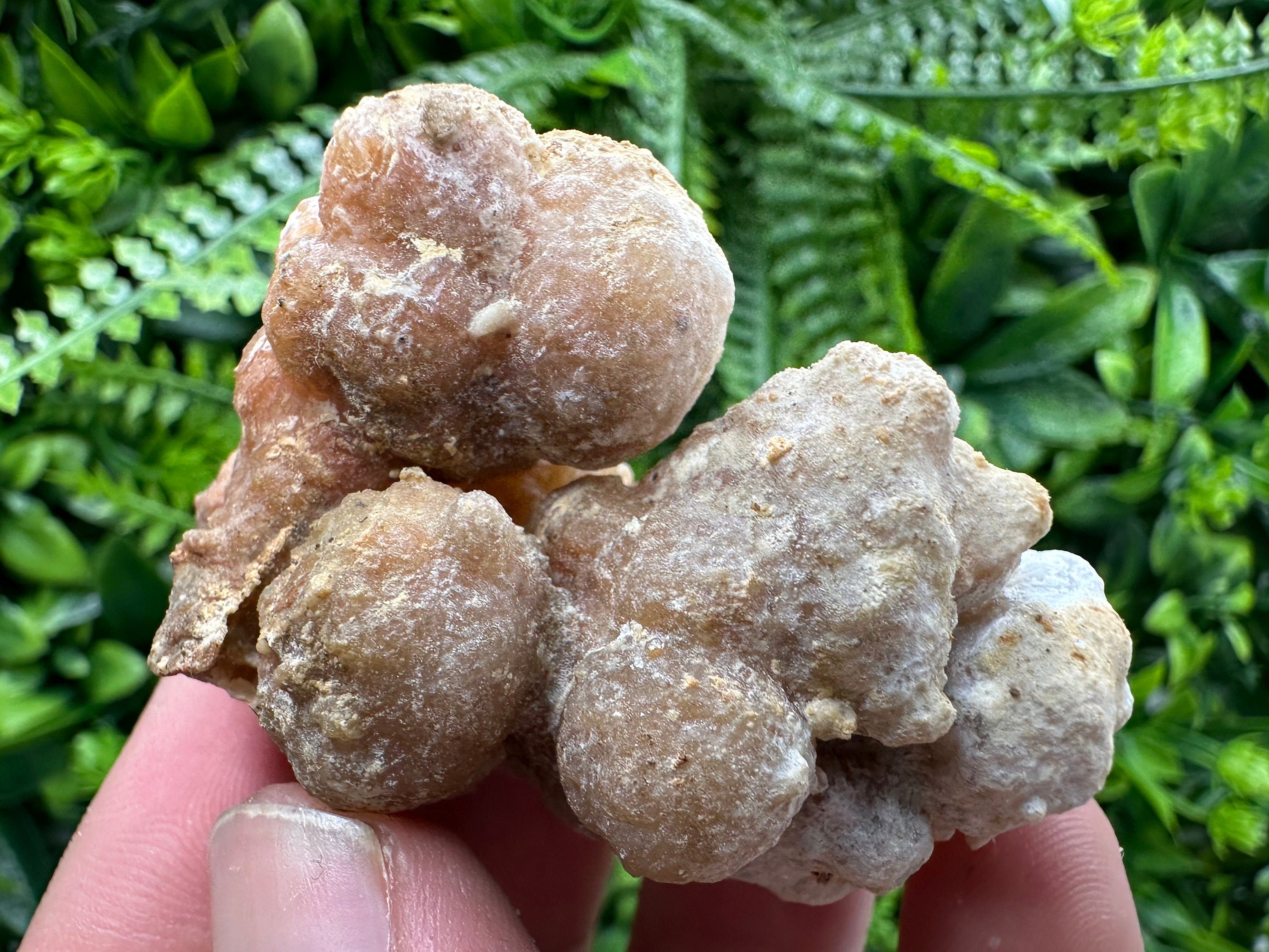 Aragonite Cluster, Dimitrovgrad Bulgaria, Mineral Specimen