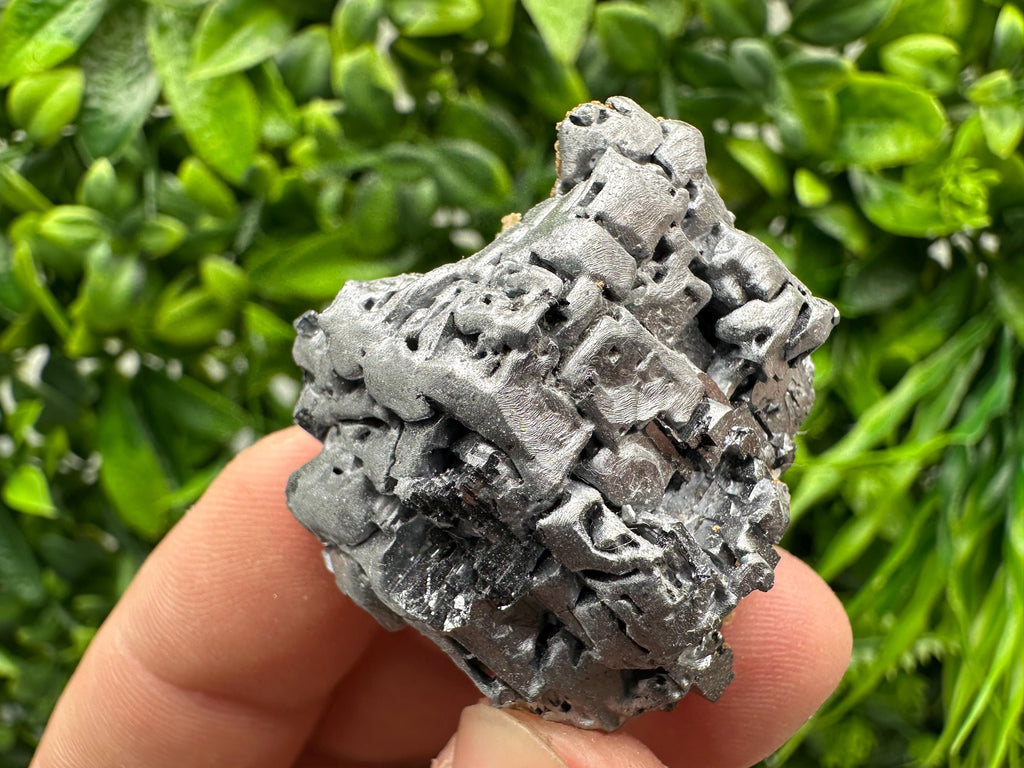Skeletal Galena on Sphalerite: Natural Mineral Crystal Decor