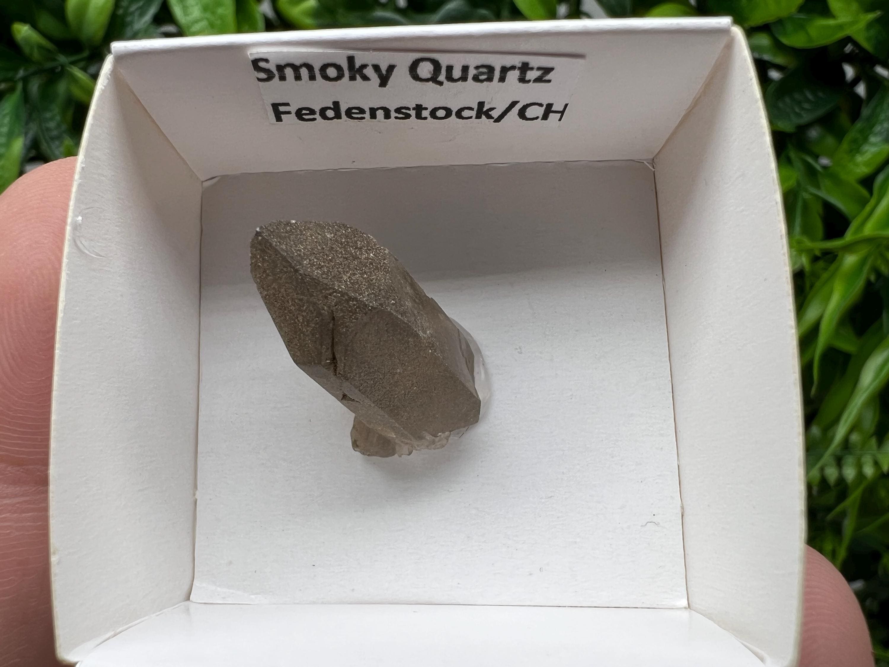 Rare Smoky Quartz from Fedenstock (mountain) Switzerland,Mineral,Specimen,Collection,Black Quartz,Mineral,Home,Smoky Quartz,Quartz point