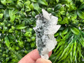 Quartz Calcite on Chlorite Matrix, Borieva Mine Mineral Specimen