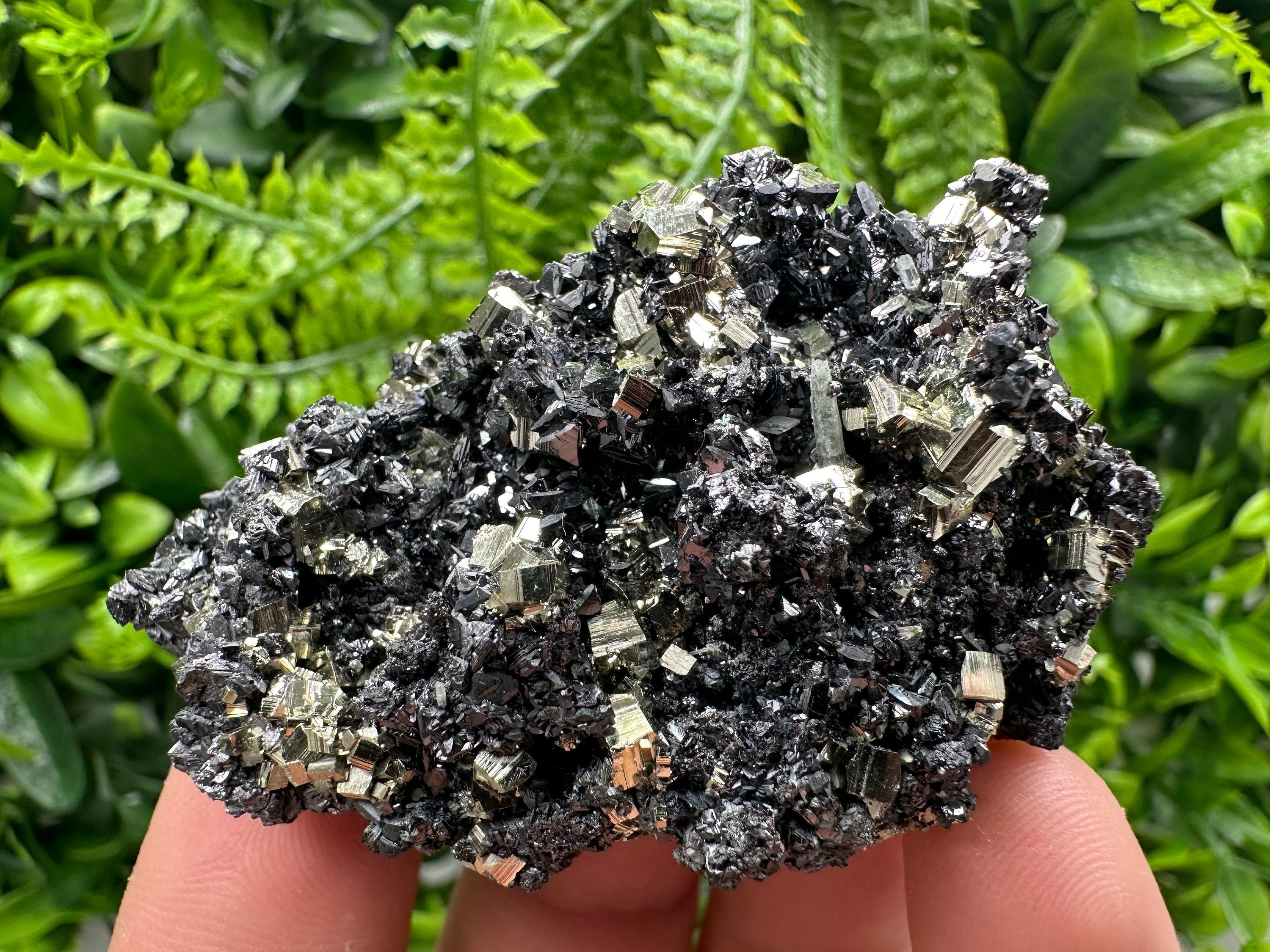 Golden Pyrite with Sphalerite, Borieva Mine Mineral Specimen