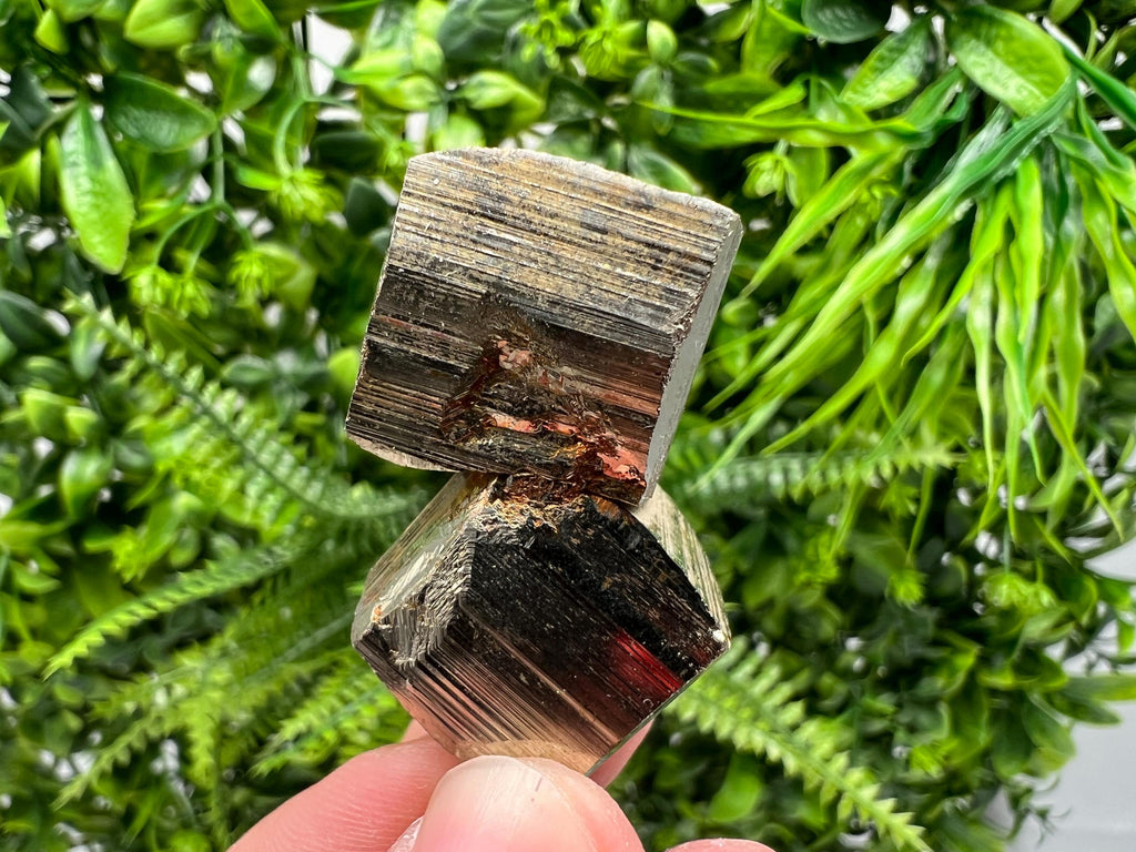 Rare Mini Pyrite Cluster: Borieva Mine, Bulgaria