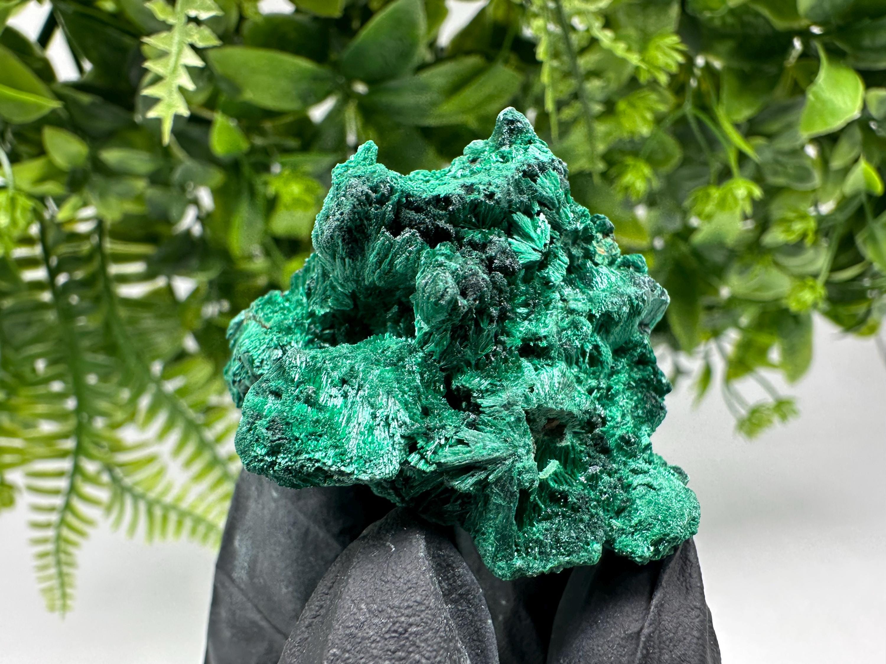 Malachite Crystal from Congo,Minerals,Crystals from Congo,Green Malachite, Malachite,Natural Malachite,Malachite Stone,Chakra, Specimens