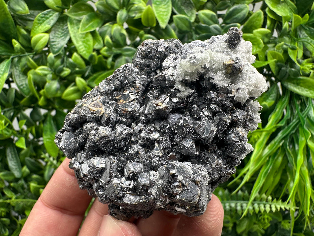 Sphalerite on Green Quartz, Madan Bulgaria, Mineral Specimen