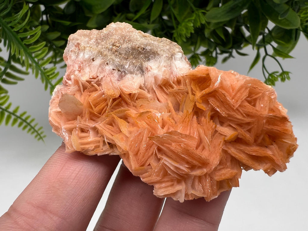 Wonderful Baryte with Cerussite on Galena from Morocco,Crystal, Mineral,Specimen,Cluster,Crystals,Barite Crystal,Cerussite Crystal,Specimen