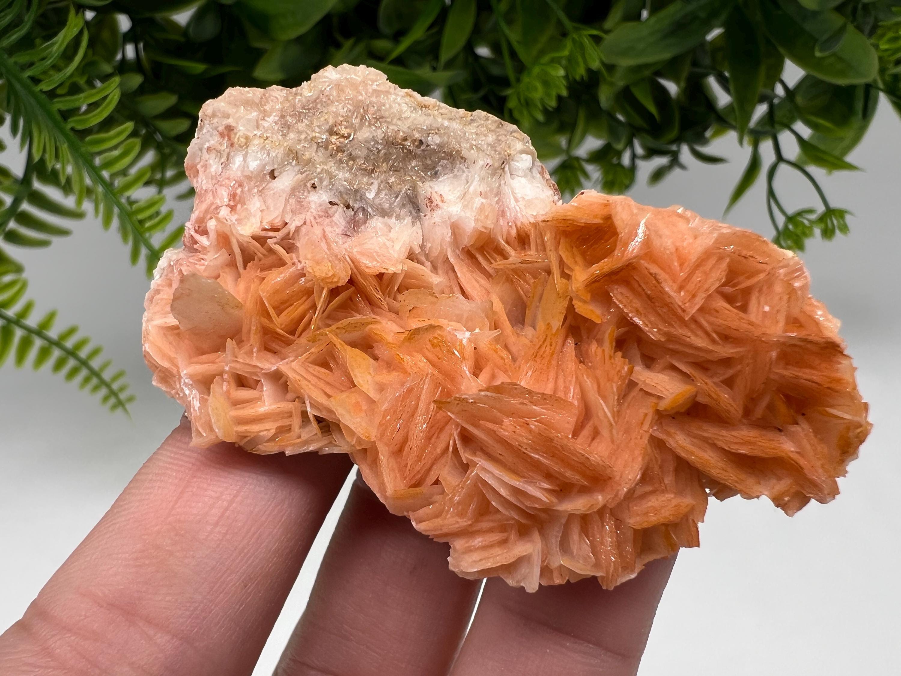Wonderful Baryte with Cerussite on Galena from Morocco,Crystal, Mineral,Specimen,Cluster,Crystals,Barite Crystal,Cerussite Crystal,Specimen