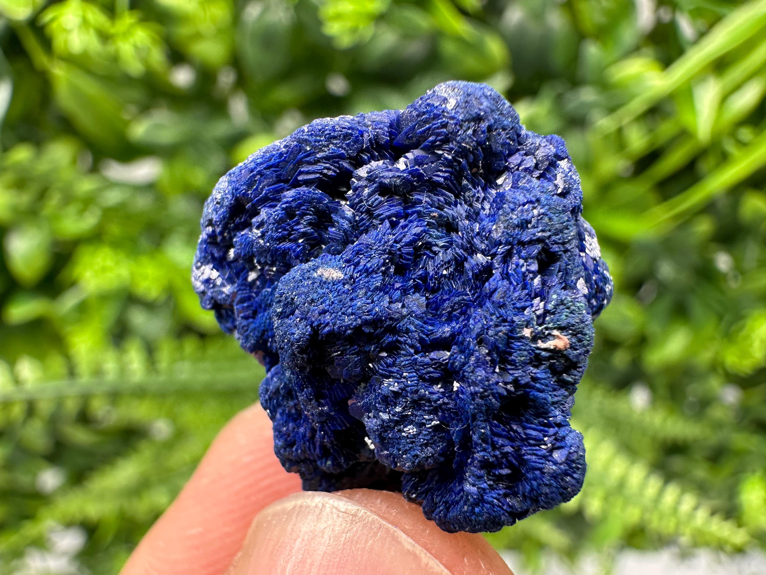 Crystallized Azurite-Kerrouchen,Morocco-Blue Azurite Specimen-High Quality Blue Azurite-Azurite Mineral Specimen, gemmy,lustrous of Azurite