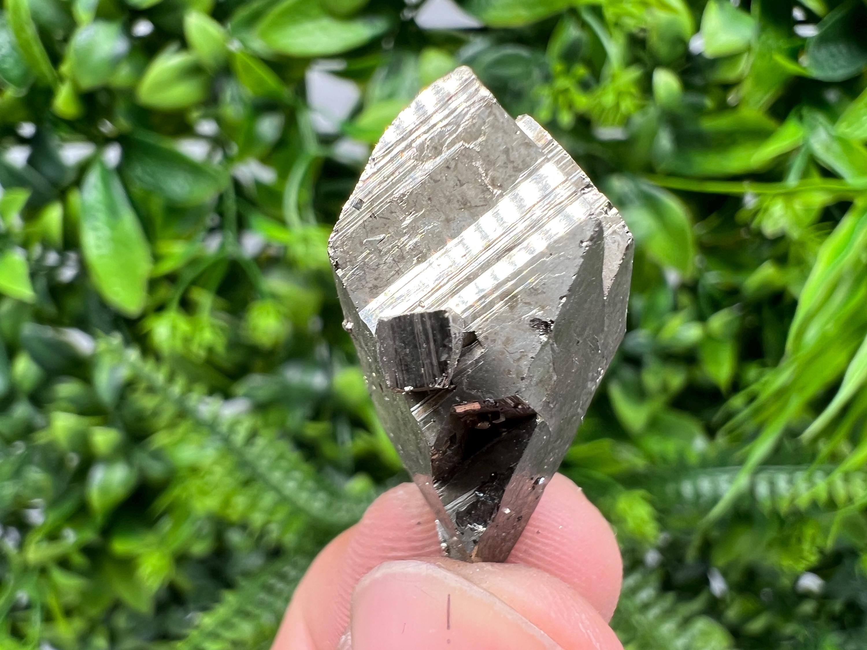 Rare Pyrite Crystal Specimen: Borieva Mine, Bulgaria