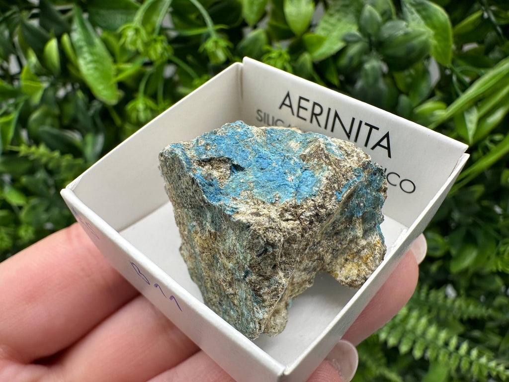 Rare Raw Aerinite Mineral Specimen: Lleida, Spain Crystal