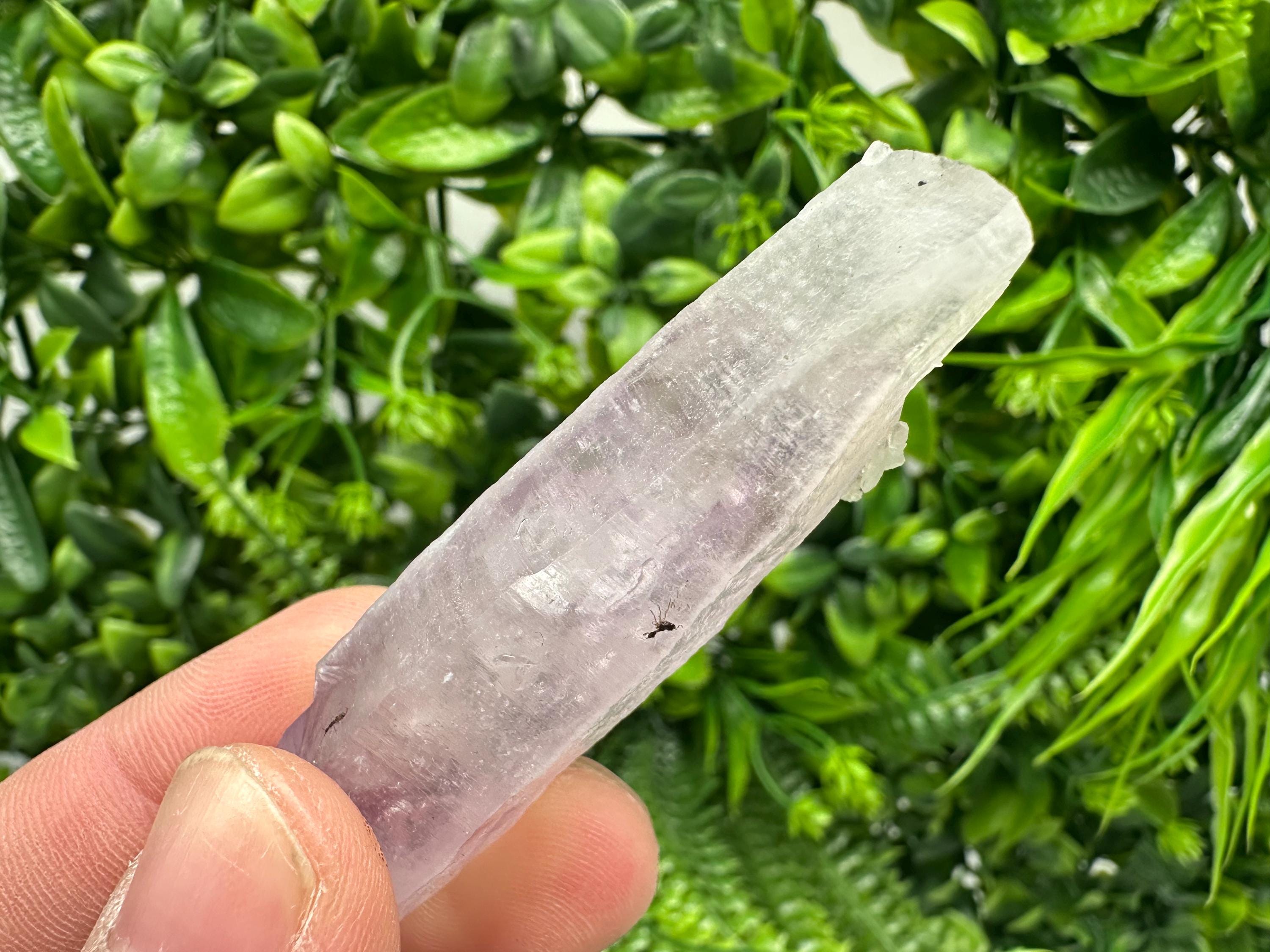 Amethyst Phantom Quartz Crystal with Chalcedony and Chlorite