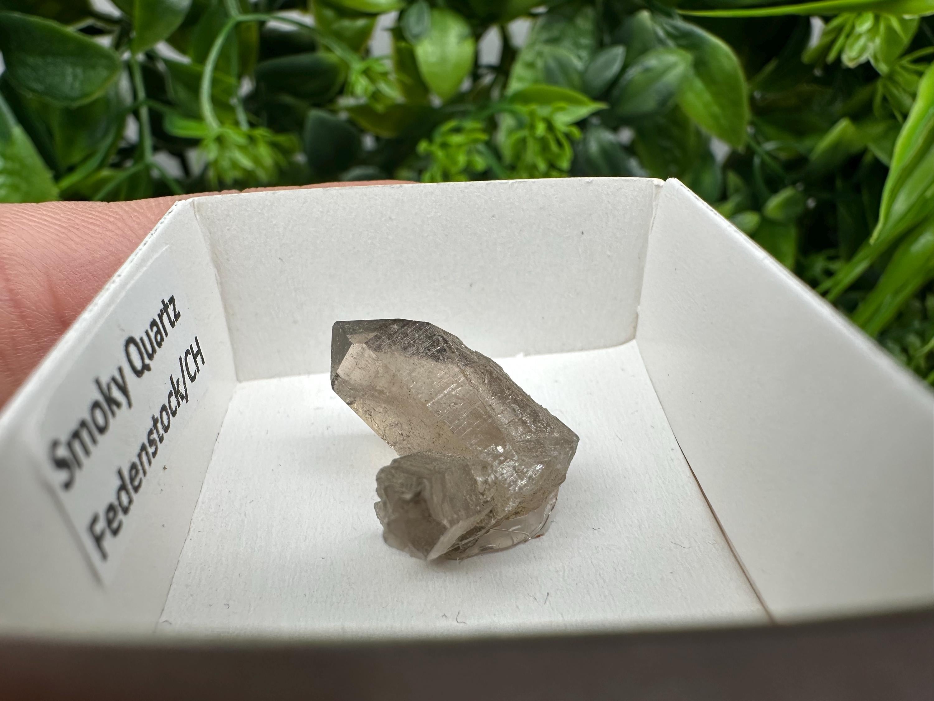 Rare Smoky Quartz Point, Fedenstock Switzerland Mineral Specimen