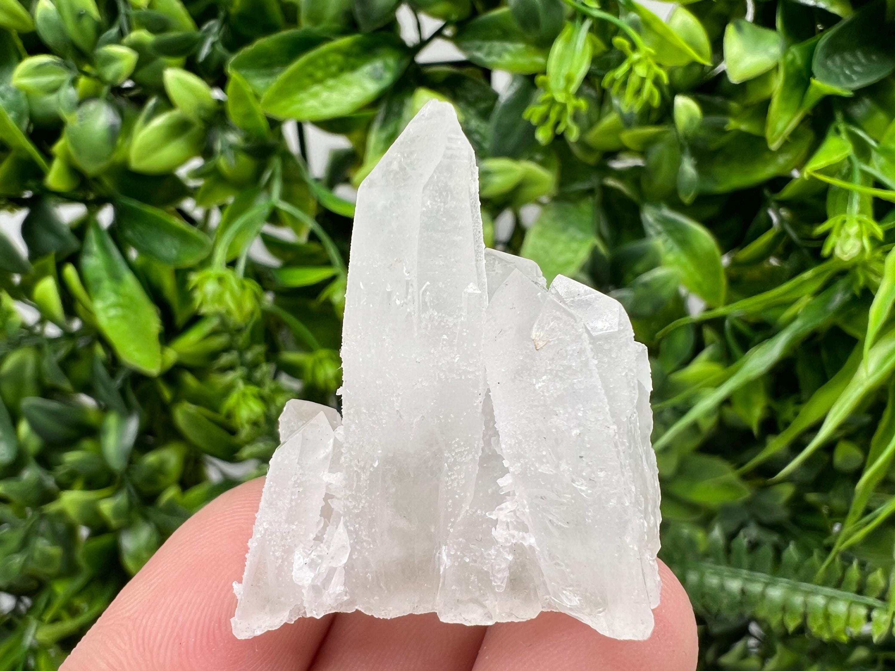 Transparent Quartz on Chlorite Matrix, Borieva Mine, Bulgaria