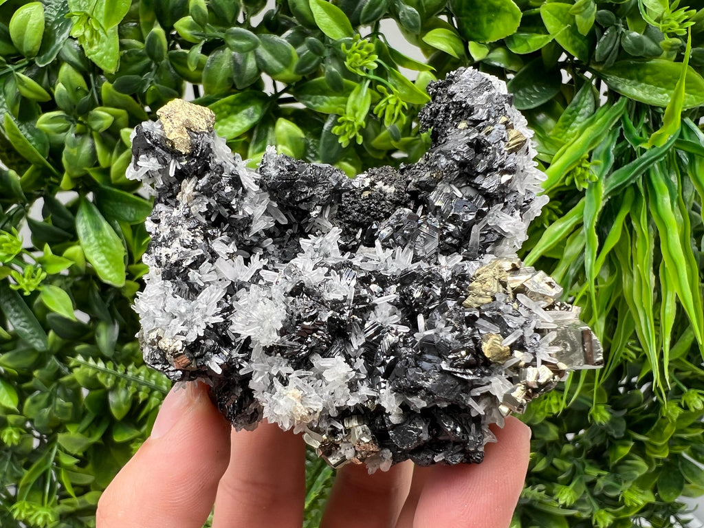 Chalcopyrite with Sphalerite on Quartz, Borieva Bulgaria