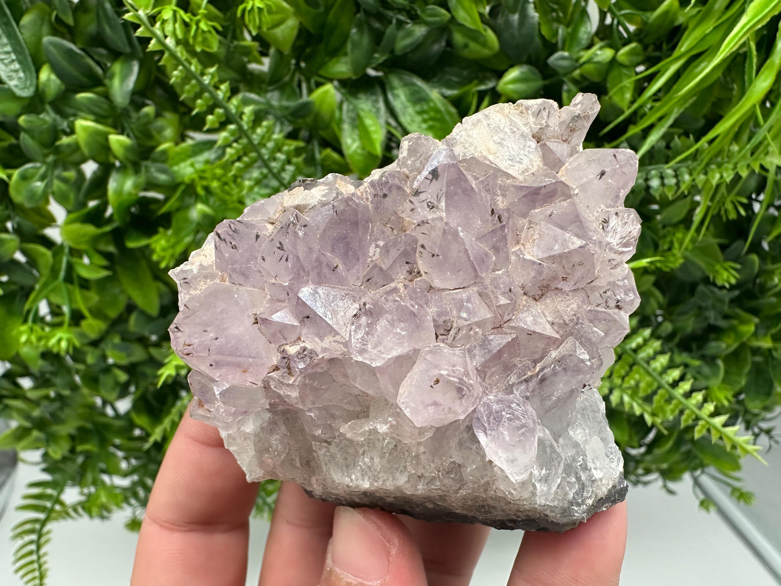 Brazilian Amethyst Crystal Cluster Specimen, Purple Quartz