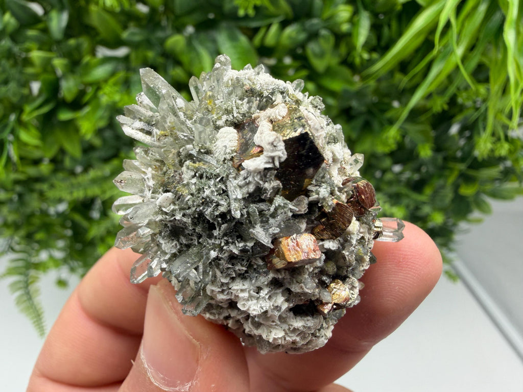Pyrite Galena on Green Quartz, Chlorite Mineral Specimen, Bulgaria