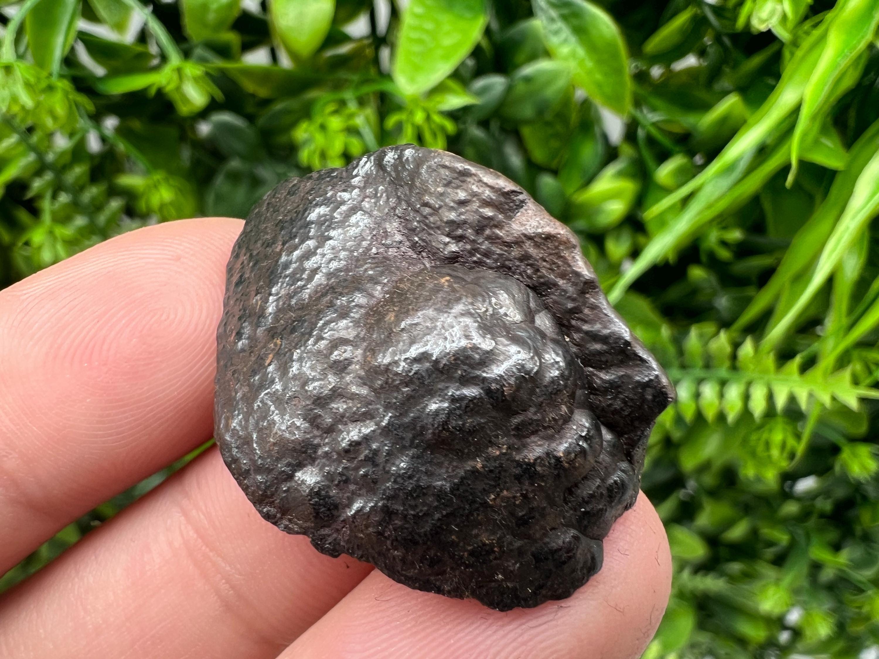 Botryoidal Black Hematite Specimen: Moroccan Crystal, Chakra Reiki