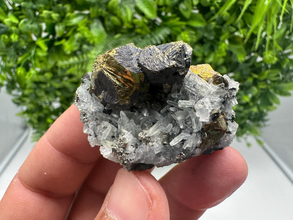 Stunning Chalcopyrite on Quartz,Chlorite From Djurcovo mine,Laki,Bulgaria,Natural,Collection mineral specimen,Home decor stone,Collection