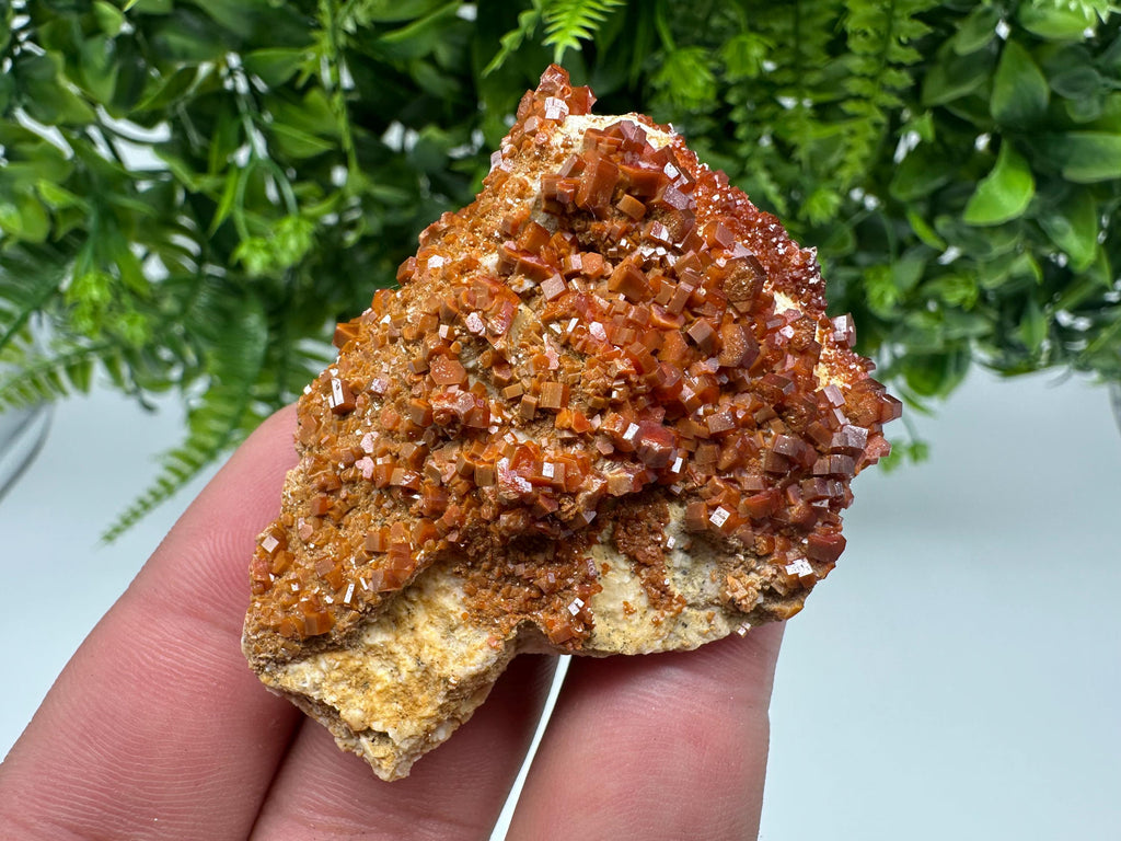 Red Vanadinite on Barite, Moroccan Crystal Mineral Specimen