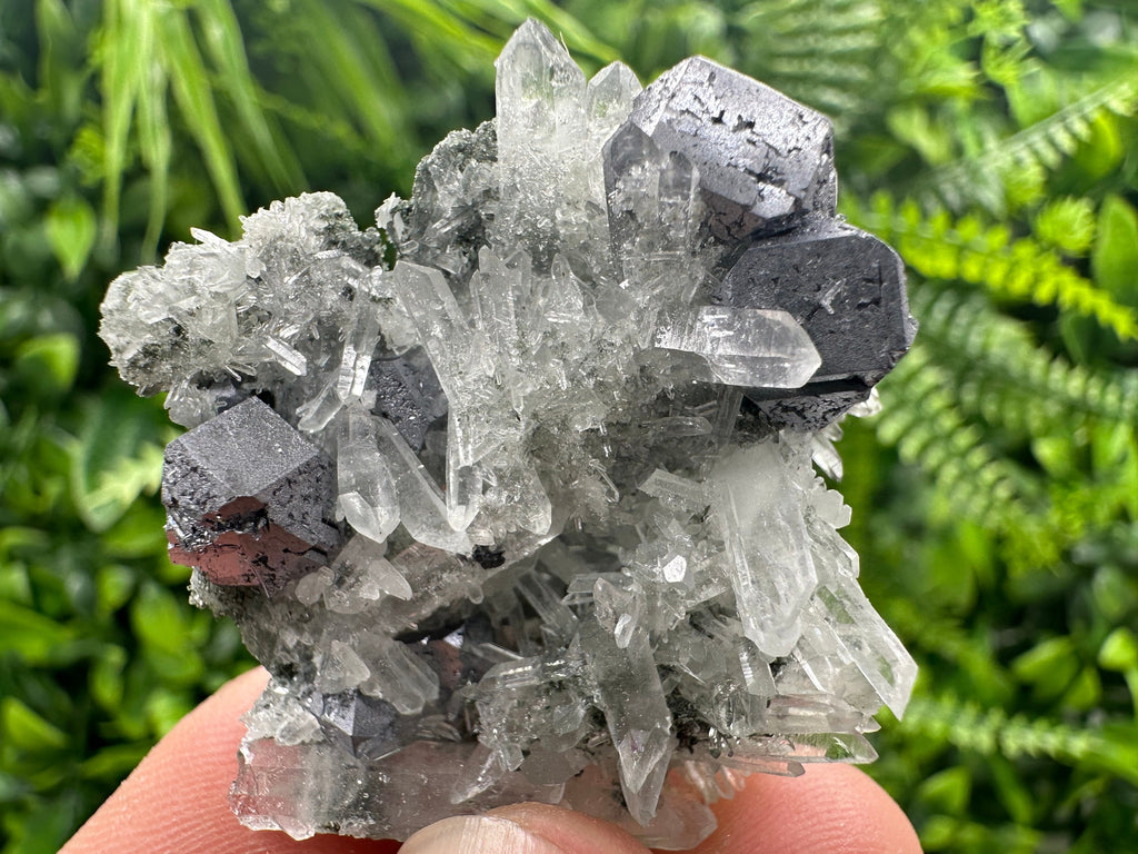 Galena on Green Quartz with Chlorite, Borieva Mine Mineral Specimen