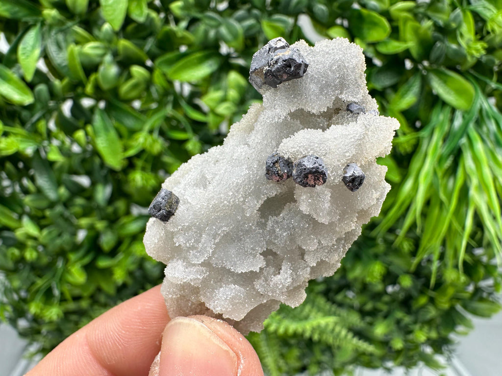 Rare Galena on Chalcedony Specimen, Madan Bulgaria Mineral