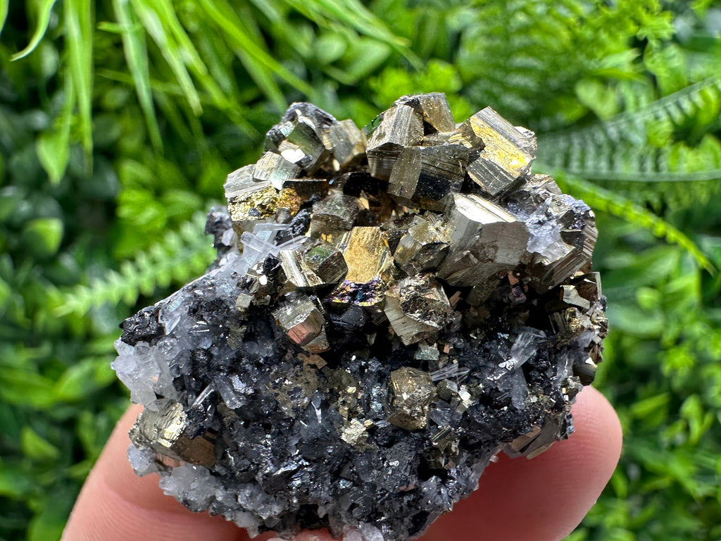 Rainbow Pyrite on Sphalerite & Quartz, Borieva Mine, Bulgaria