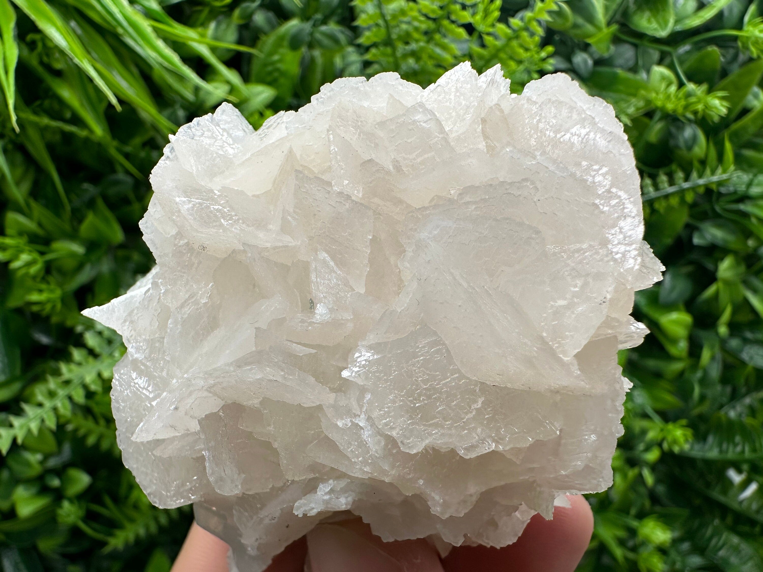 UV Calcite on Chlorite Matrix: Natural Mineral Specimen, Borieva Mine