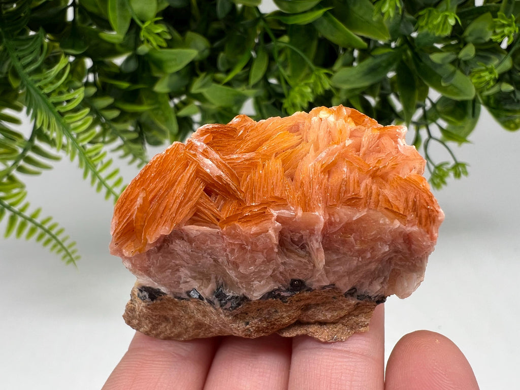 Wonderful Baryte with Cerussite on Galena from Morocco,Crystal, Mineral,Specimen,Cluster,Crystals,Barite Crystal,Cerussite Crystal,Specimen
