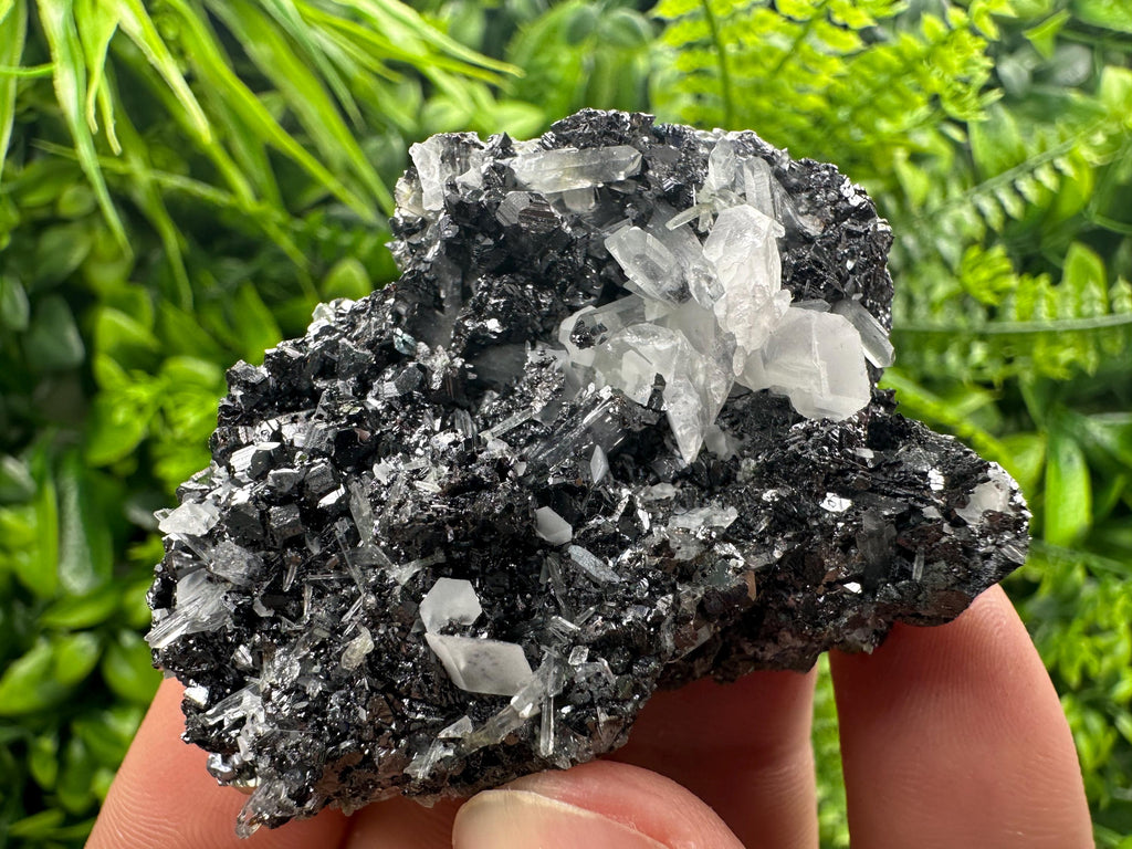 Black Sphalerite Cluster: Natural Mineral Souvenir, Borieva Bulgaria
