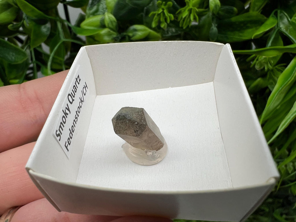Rare Fedenstock Smoky Quartz Point, Swiss Mineral Specimen (20MM)