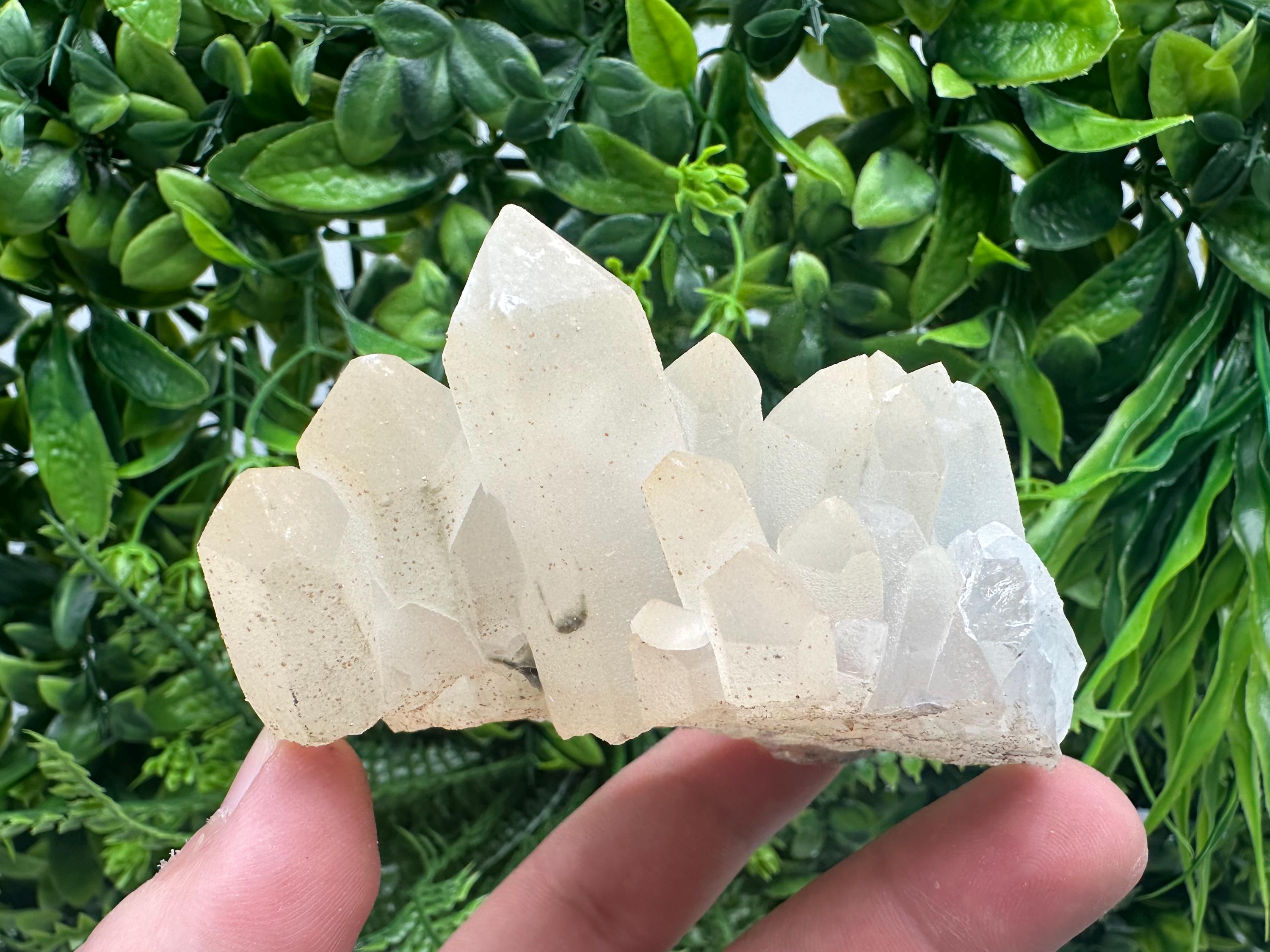 Quartz Rhodochrosite Cluster, Djurcovo Mine Mineral Specimen