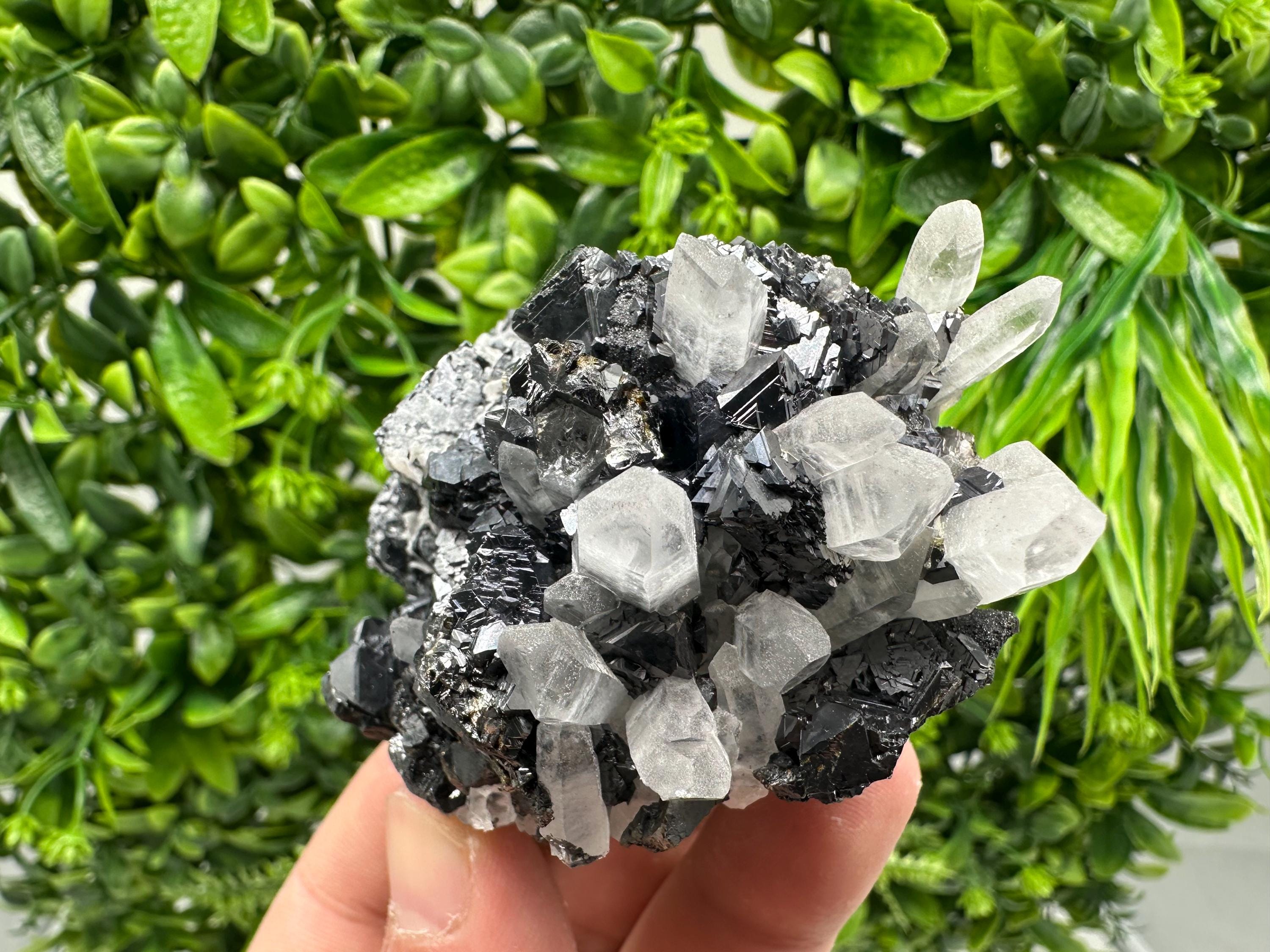 Wonderful Sphalerite Chalcopyrite on  Quartz whit Galena feom 9 th September mine,Bulgaria,natural,collection mineral specimen,gift