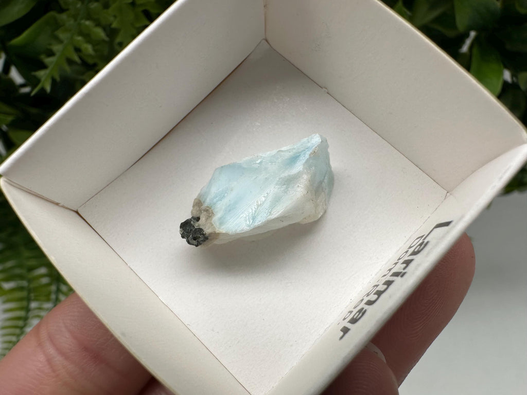 Rare Raw Larimar Specimen: Dominican Republic Crystal BOX 4/4 cm