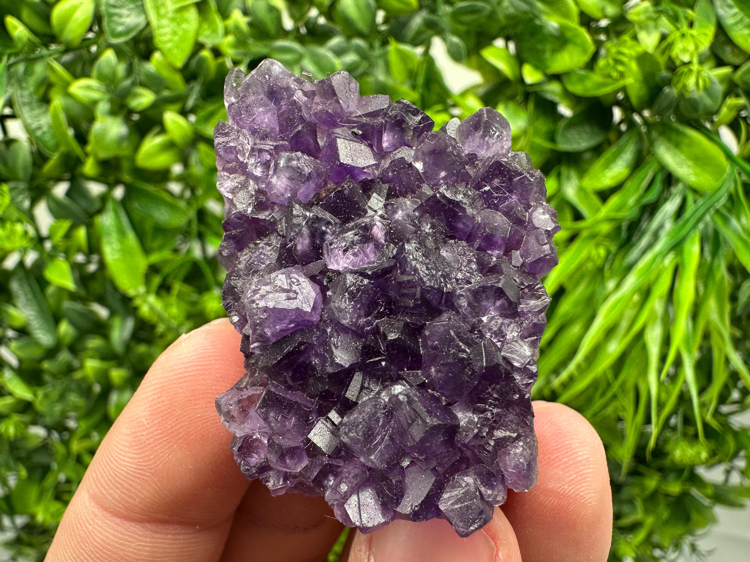 Uruguay Amethyst Cluster: Purple Quartz Crystal, Home Decor