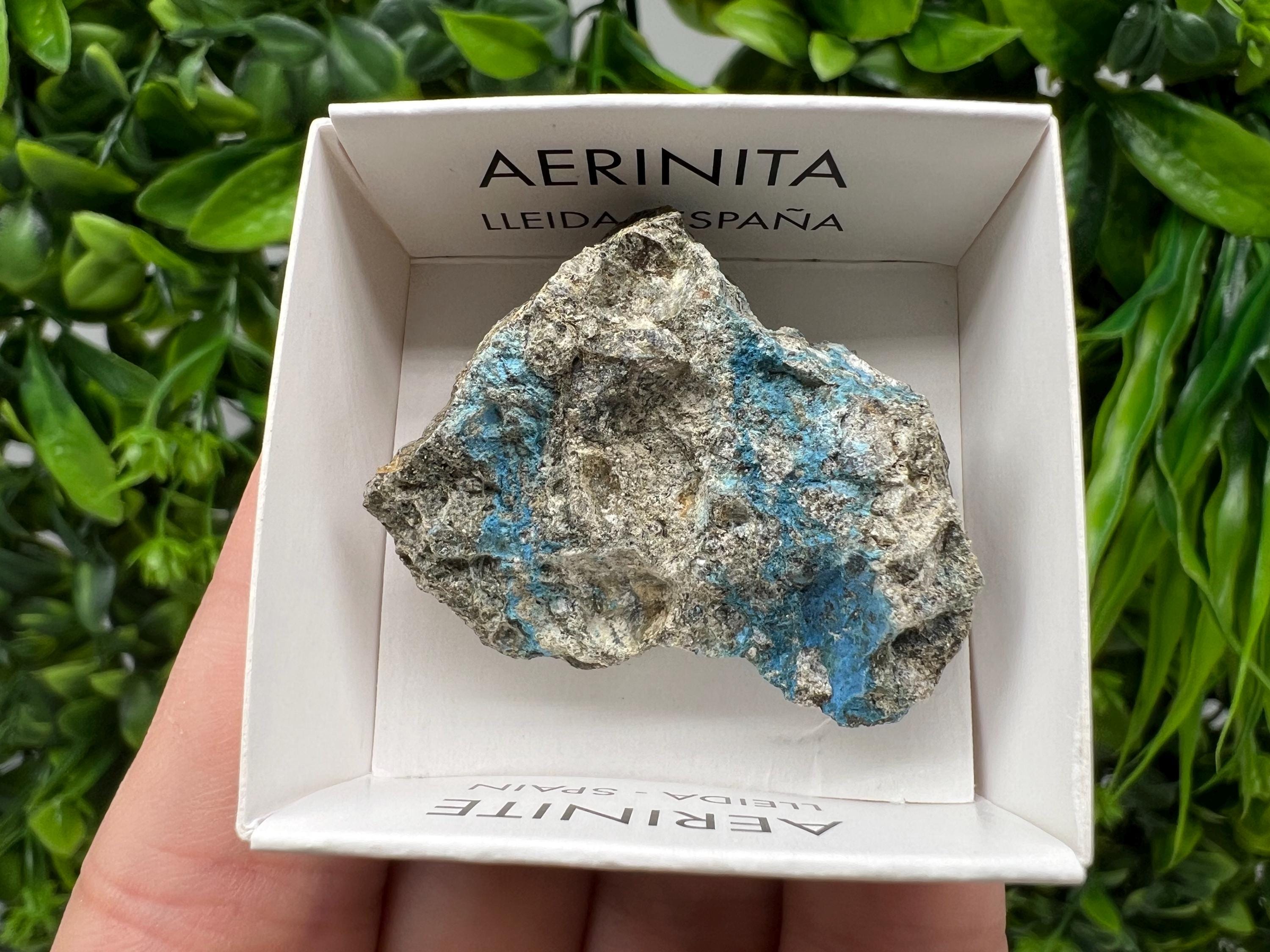 Rare Raw Aerinite Mineral Specimen: Collection Crystal from Lleida, Spain (3.5/3 CM)