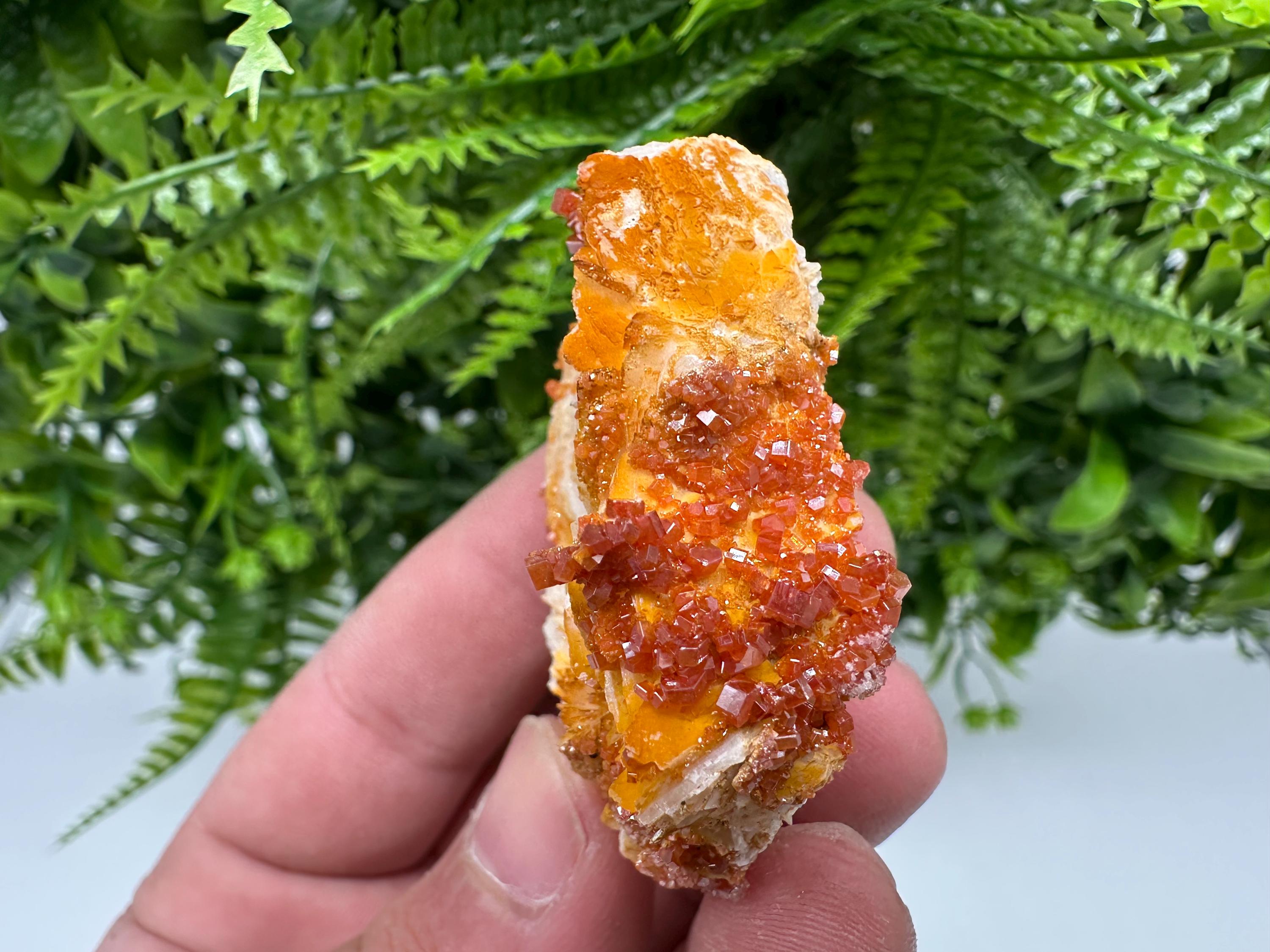 Red Vanadinite on Barite, Morocco Mineral Specimen