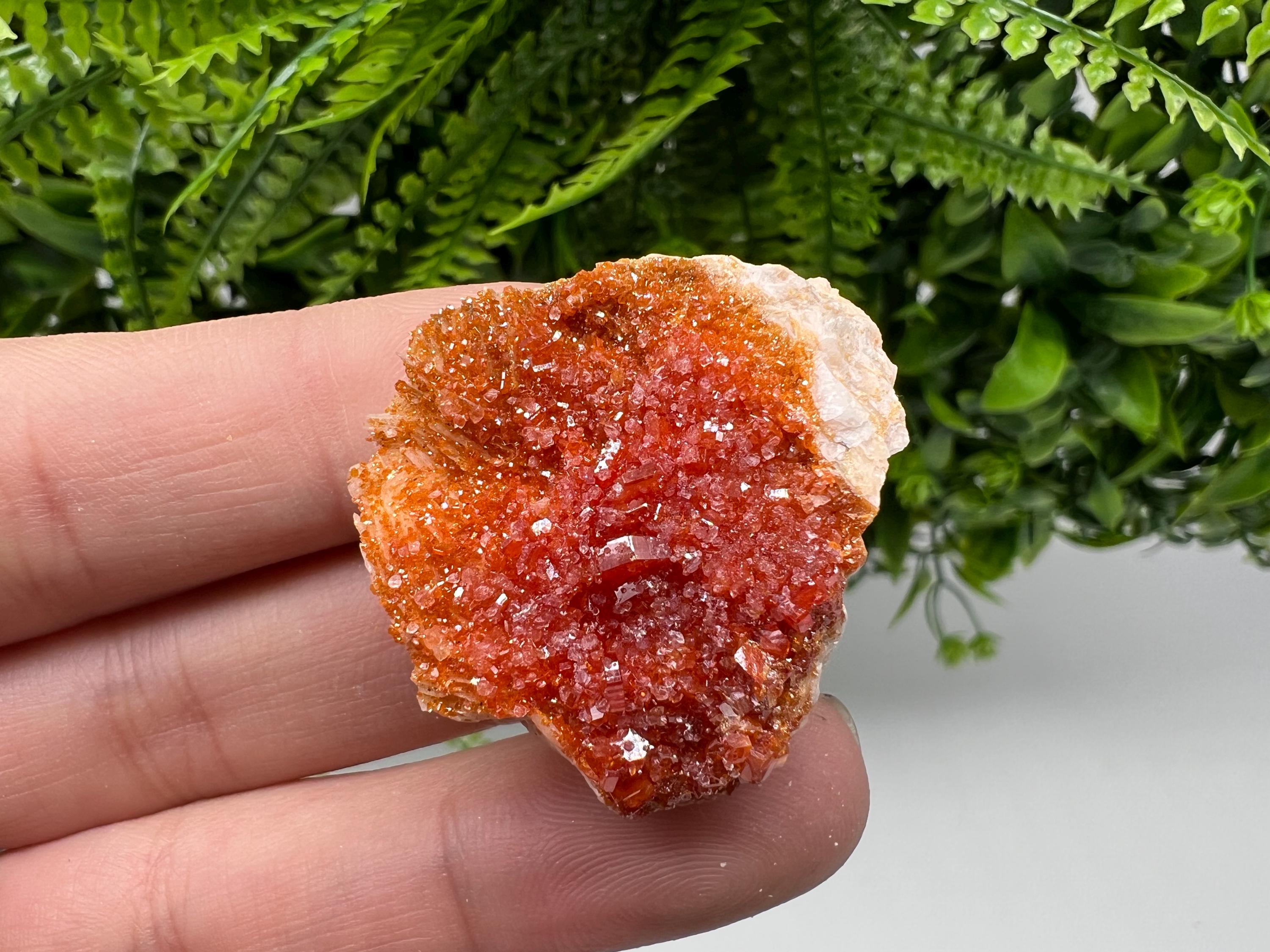 Red Vanadinite Crystal Cluster on Barite, Morocco Mineral Specimen