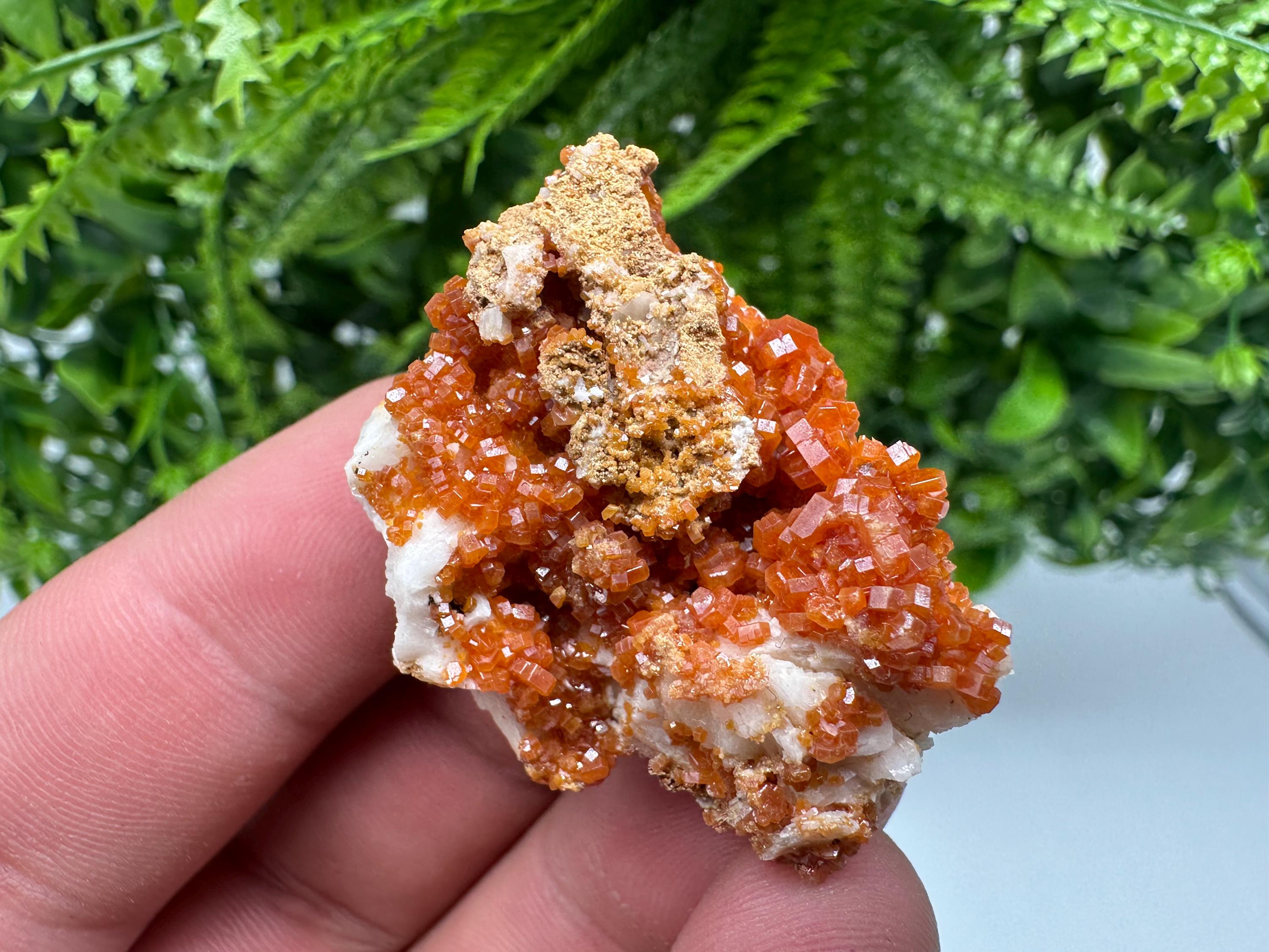 Red Vanadinite on Barite, Morocco Crystal Specimen